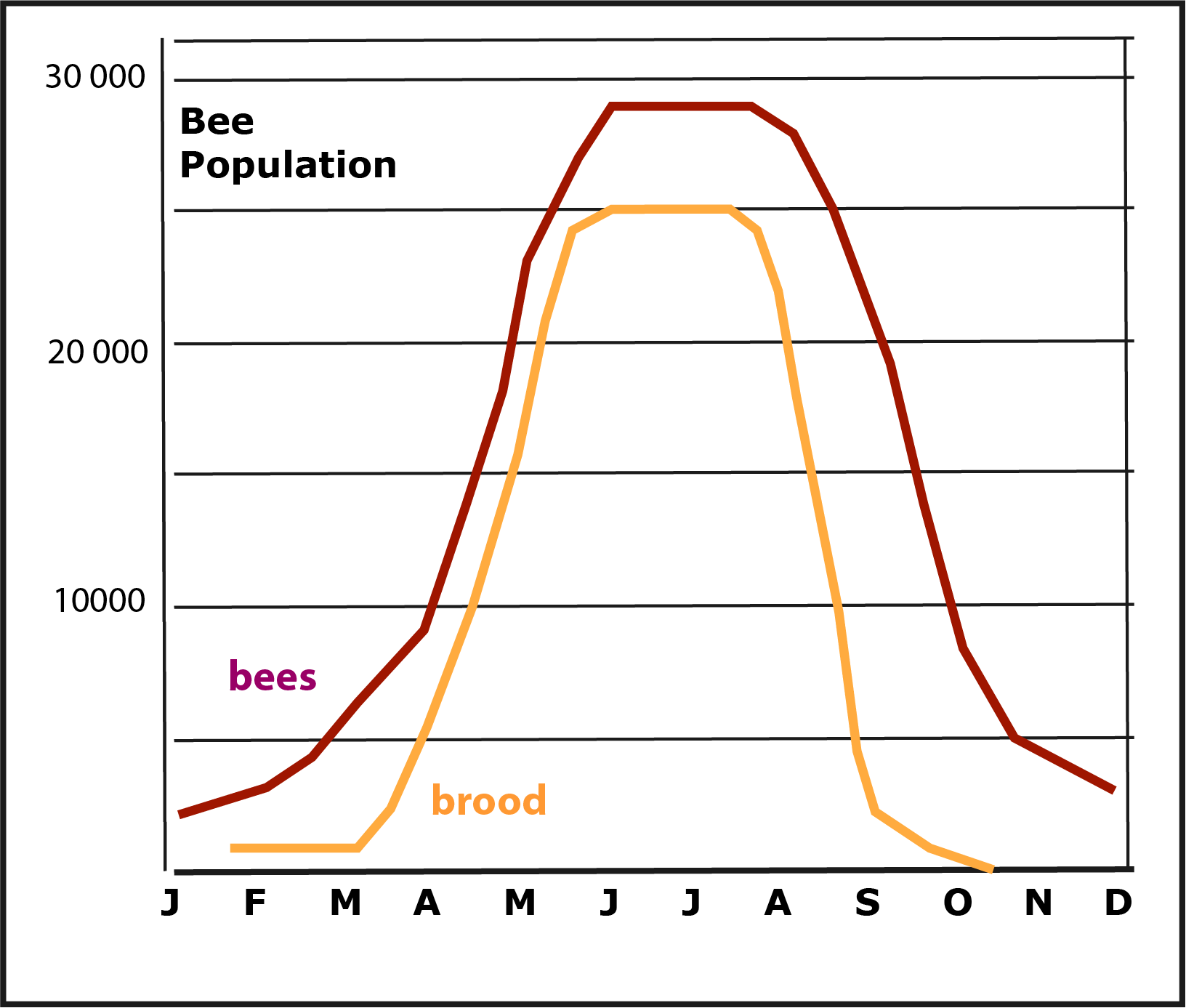 hive population